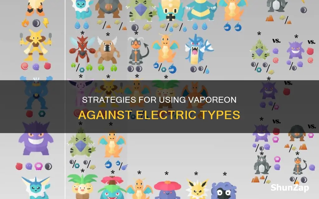how to counter electric type on vaporeon