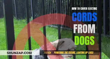Protecting Electric Cords: Keeping Dogs Safe and Sound