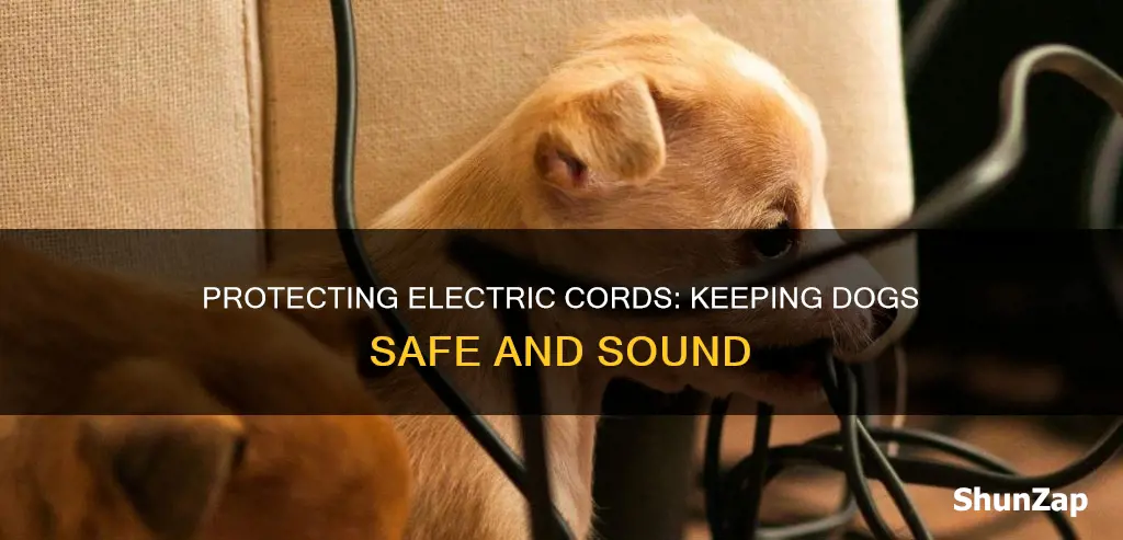 how to cover electric cords from dogs
