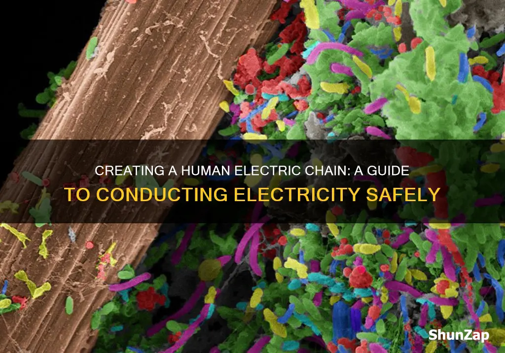 how to create a human electric chain