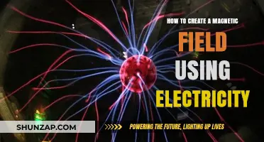 Electrifying Insights: Crafting Magnetic Fields with Electric Currents