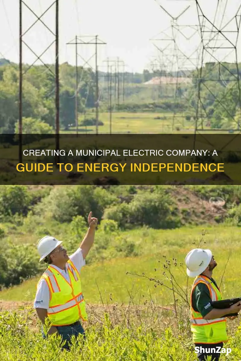how to create a municipal electric company