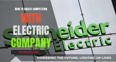 Creating Competition: Electric Company Alternatives