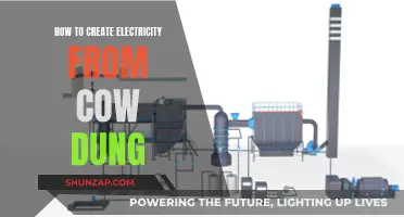 Converting Cow Dung to Electricity: A Sustainable Solution