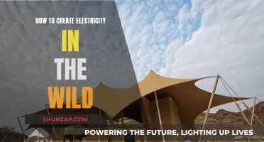 Creating Electricity in the Wild: A Survival Guide