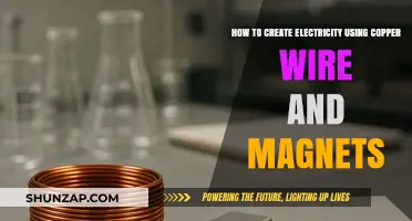 Unleashing Power: DIY Electricity Generation with Copper and Magnets