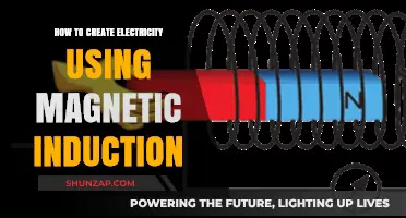 Harnessing Power: A Guide to Electricity Generation through Magnetic Induction