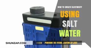 Harnessing the Power of Saltwater: A Simple Guide to Generating Electricity
