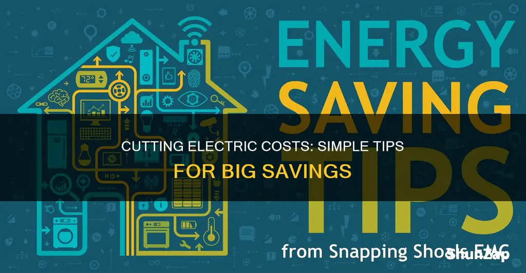 how to cut back on electric costs