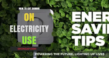 Powering Down: Simple Tips to Slash Your Electricity Usage