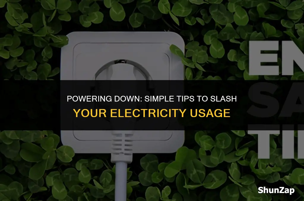how to cut donwn on electricity use