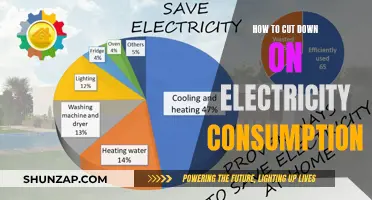 Cutting Down Electricity Costs: Simple Tips for Big Savings