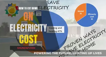 Cutting Electricity Costs: Simple Ways to Save Money