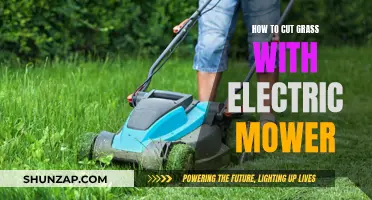 Electric Mower Grass Cutting: A Step-by-Step Guide