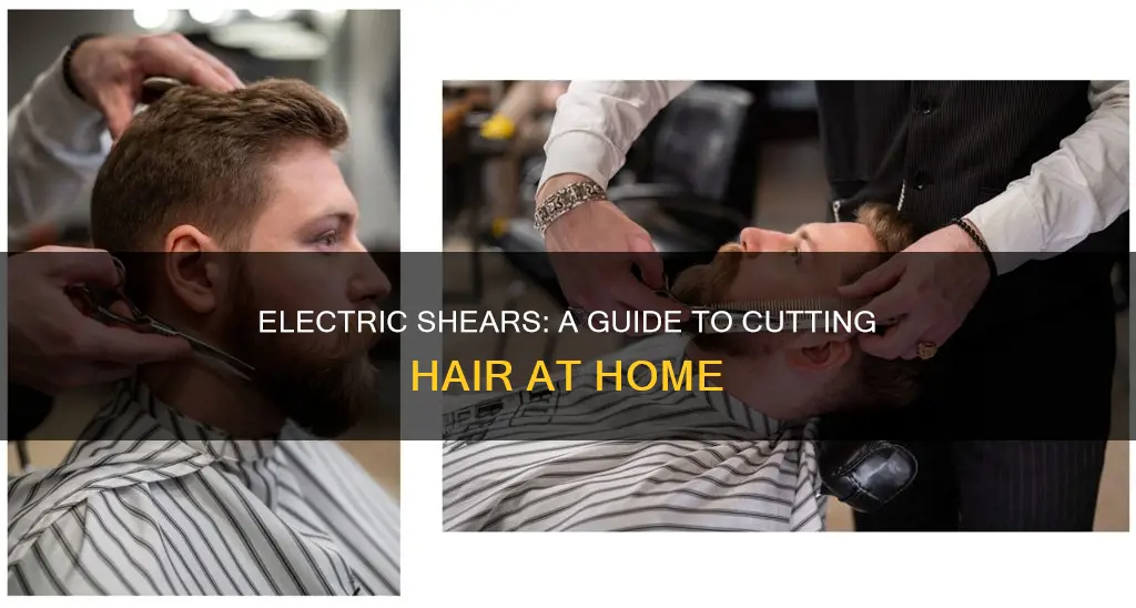 how to cut hair with electric shears