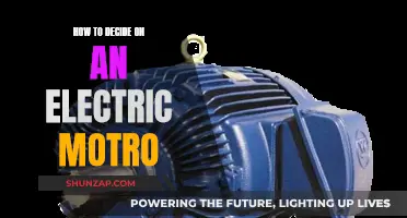 Choosing Your Electric Motor: A Guide