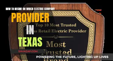 Choosing Texas Electric Company: What to Consider
