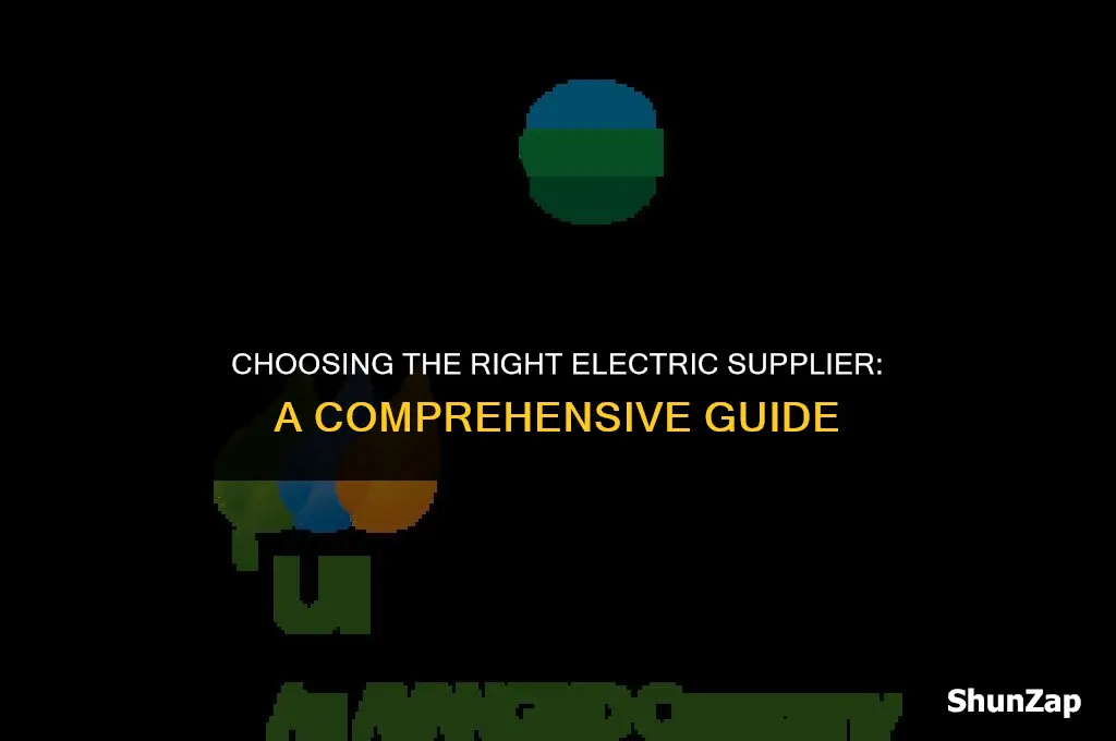how to decide what electric supplier to use