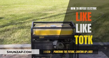 Defeating Electric-Like Monsters: Strategies for Success