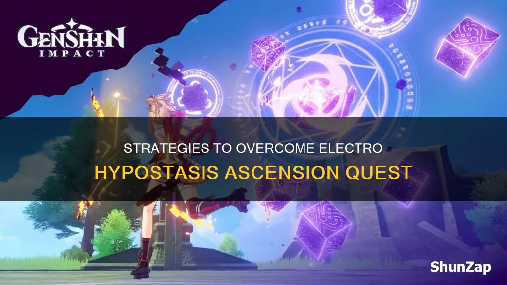 how to defeat electro hypostasis ascension quest