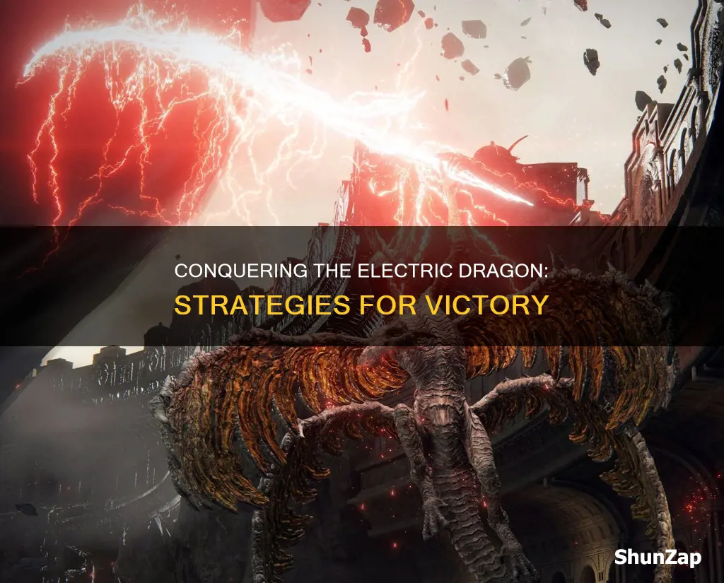 how to defeat the electric dragon totk