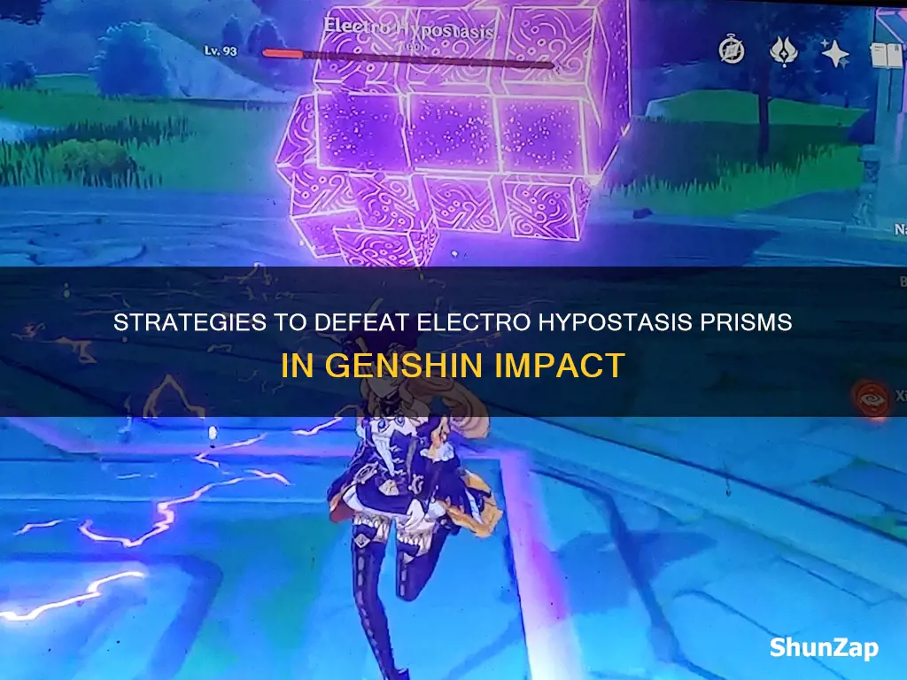 how to defeat the electro hypostasis prisms