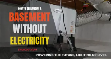 Dehumidifying Your Basement: Natural Ways to Remove Moisture