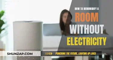 Dehumidifying a Room: Natural Ways to Remove Moisture