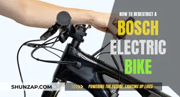 Unleashing Your Bosch Electric Bike: Removing Restrictions