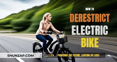 Unleashing Electric Bike Potential: Removing Restrictions Safely