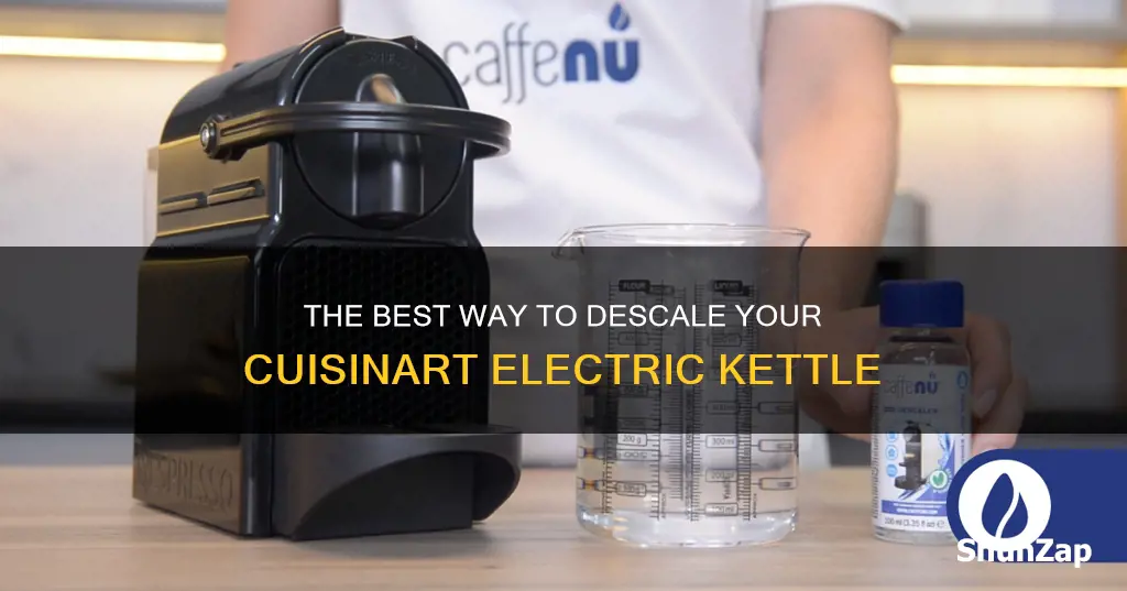 how to descale a cuisinart electric kettle