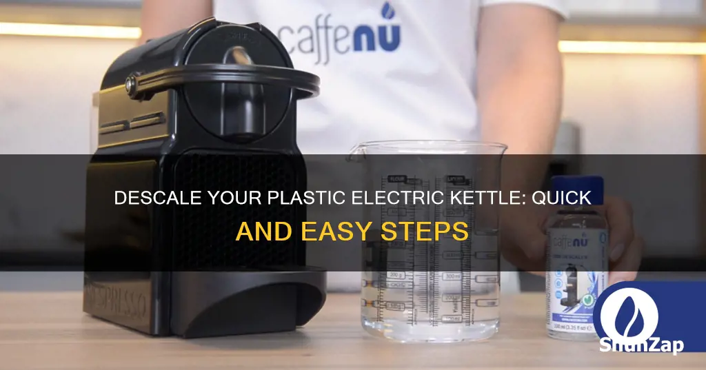 how to descale a plastic electric kettle