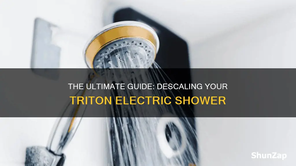 how to descale a triton electric shower
