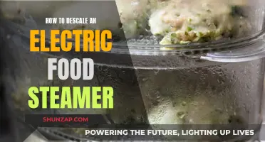 Descale Your Electric Food Steamer: Easy Steps to Follow