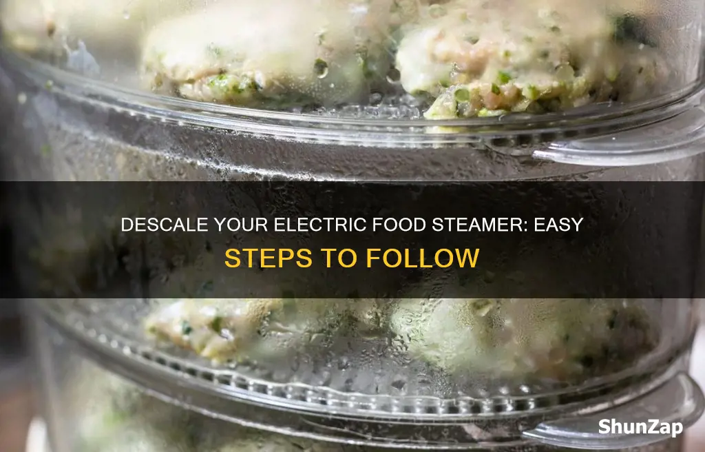 how to descale an electric food steamer