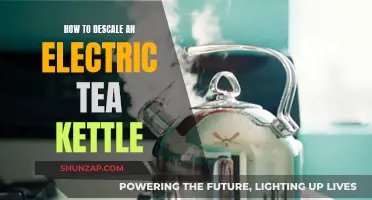 Effective Ways to Descale Your Electric Tea Kettle