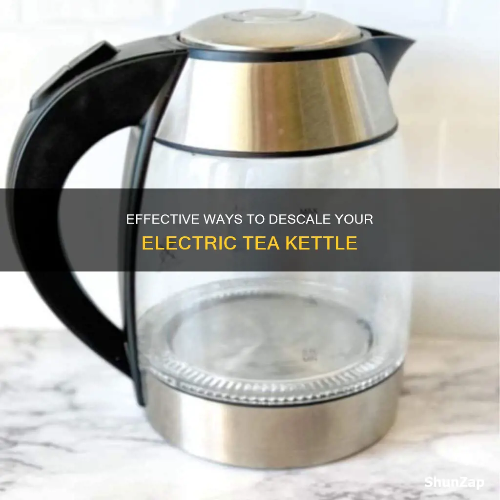 how to descale an electric tea kettle