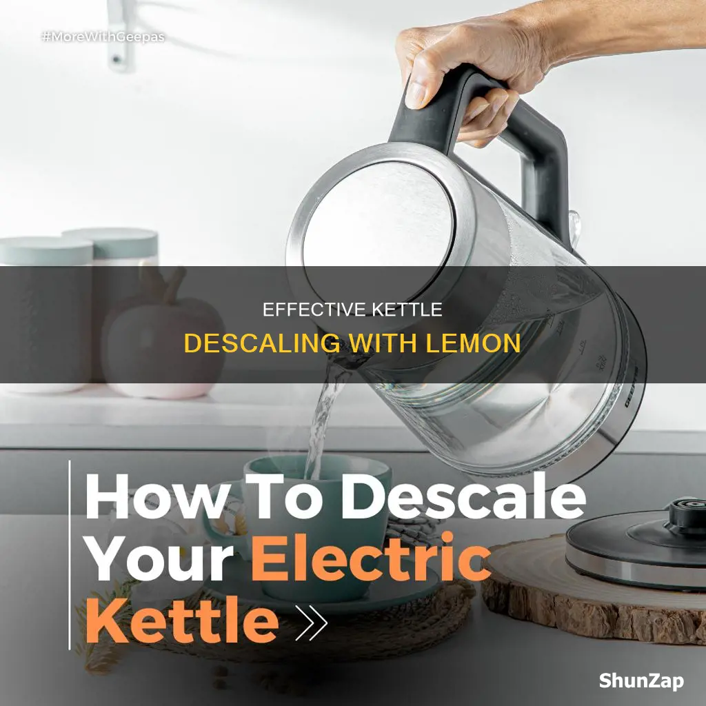 how to descale electric kettle with lemon