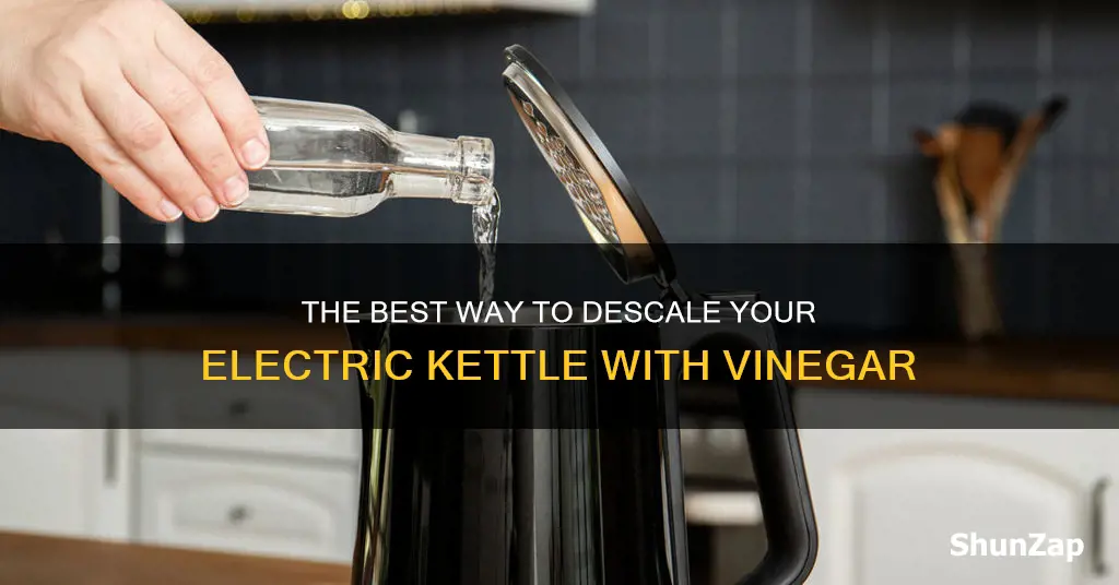 how to descale electric kettle with vinegar