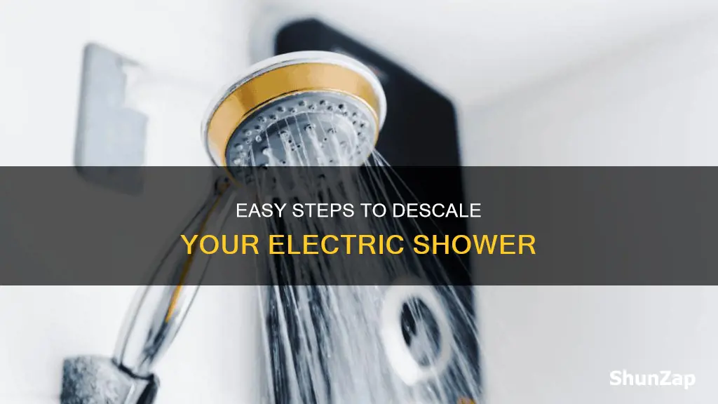 how to descale inside an electric shower