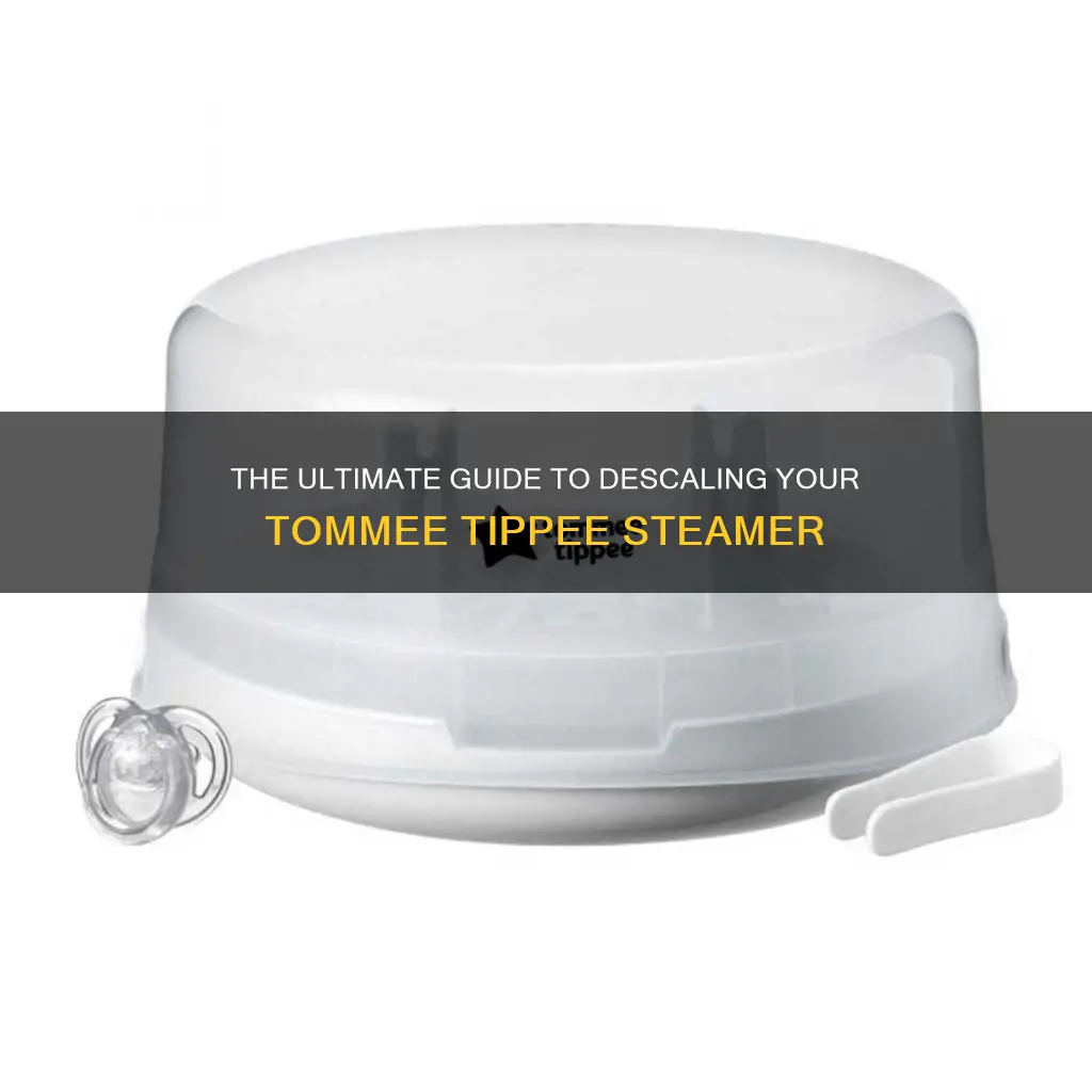 how to descale tommee tippee electric steamer