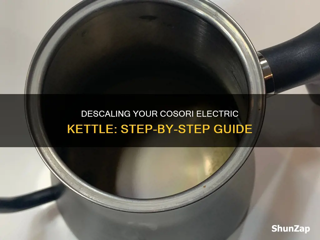 how to descale your cosori electric kettle