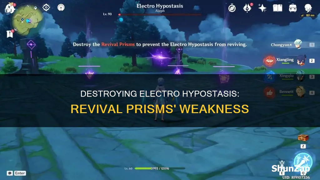 how to destroy revival prisms electro hypostasis
