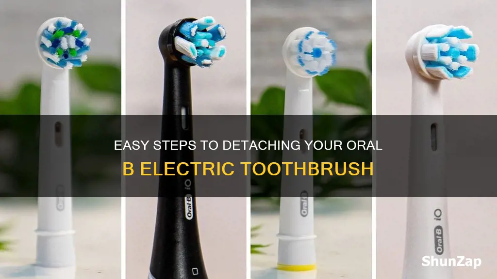 how to detach oral b electric toothbrush