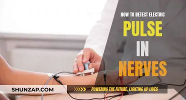 Detecting Electric Pulse in Nerves: The Ultimate Guide