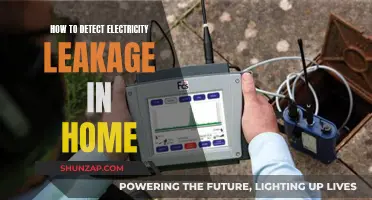Detecting Electricity Leaks: A DIY Homeowner's Guide