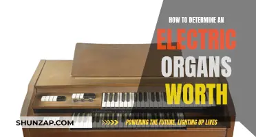 Evaluating Electric Organs: How to Determine Their Worth