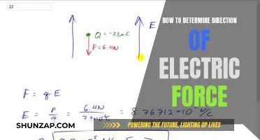 Understanding Electric Force: Direction and Magnitude