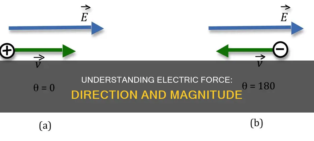how to determine direction of electric force