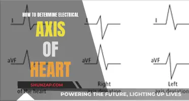 Finding the Heart's Electrical Axis: A Guide